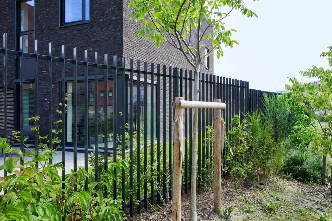 clotures_habitation_guisse.jpg